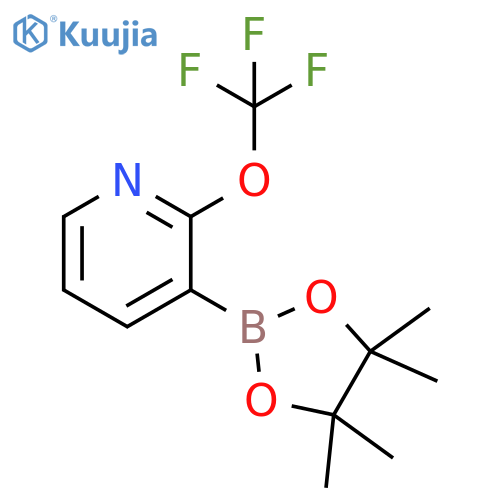 3-(4,4,5,5-tetramethyl-1,3,2-dioxaborolan-2-yl)-2-(trifluoromethoxy)pyridine structure