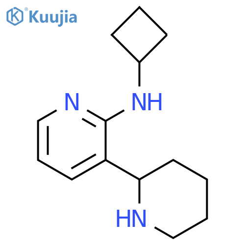 Cyclobutyl-(1,2,3,4,5,6-hexahydro-[2,3]bipyridinyl-2-yl)-amine structure