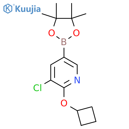 3-Chloro-2-cyclobutoxy-5-(4,4,5,5-tetramethyl-1,3,2-dioxaborolan-2-YL)pyridine structure