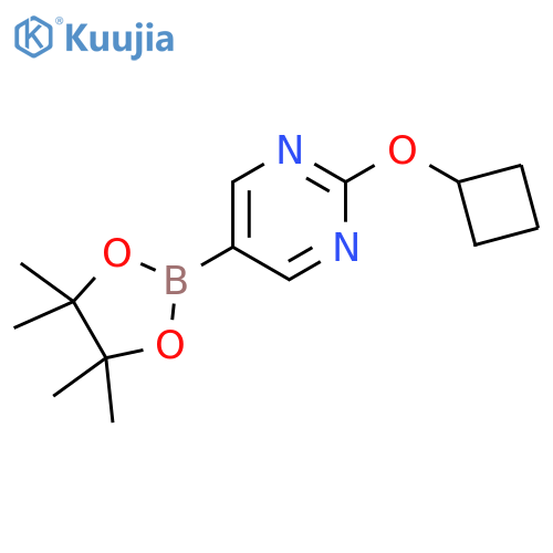 2-cyclobutoxy-5-(4,4,5,5-tetramethyl-1,3,2-dioxaborolan-2-yl)pyrimidine structure
