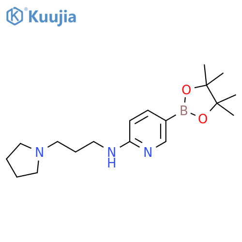 N-3-(Pyrrolidin-1-yl)propyl-5-(tetramethyl-1,3,2-dioxaborolan-2-yl)pyridin-2-amine structure