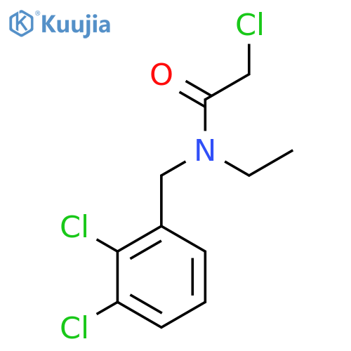 2-Chloro-N-(2,3-dichloro-benzyl)-N-ethyl-acetamide structure