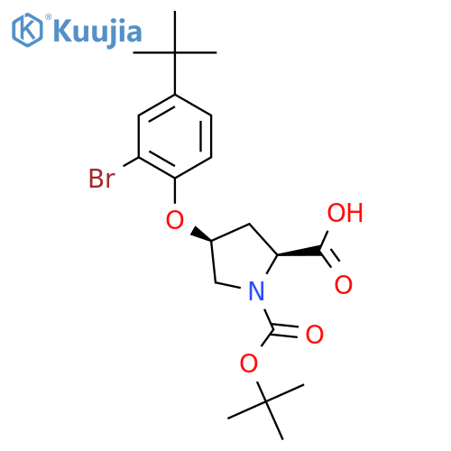(2S,4S)-4-2-Bromo-4-(tert-butyl)phenoxy-1-(tert-butoxycarbonyl)-2-pyrrolidinecarboxylic Acid structure