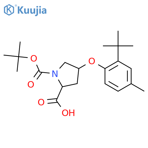 (2S,4S)-1-(tert-Butoxycarbonyl)-4-2-(tert-butyl)-4-methylphenoxy-2-pyrrolidinecarboxylic Acid structure