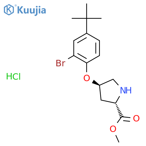 Methyl (2S,4S)-4-2-Bromo-4-(tert-butyl)phenoxy-2-pyrrolidinecarboxylate Hydrochloride structure
