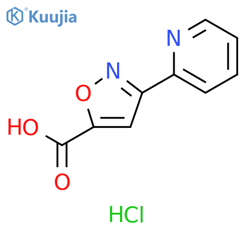 3-(2-pyridyl)isoxazole-5-carboxylic acid;hydrochloride structure