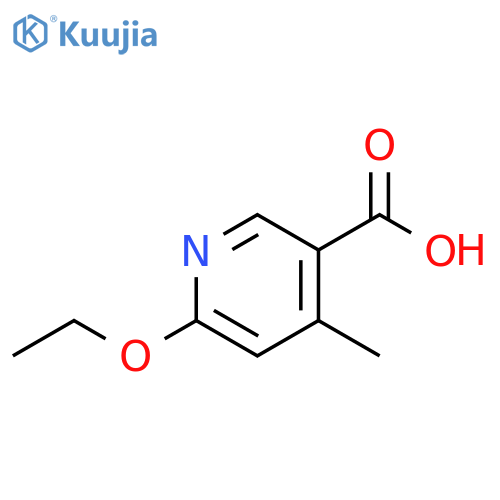 6-ethoxy-4-methylpyridine-3-carboxylic acid structure