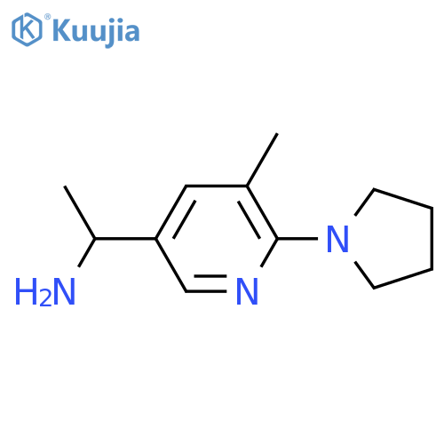 1-(5-Methyl-6-pyrrolidin-1-yl-pyridin-3-yl)-ethylamine structure