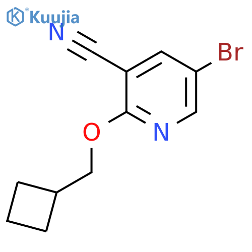 5-Bromo-2-(cyclobutylmethoxy)pyridine-3-carbonitrile structure