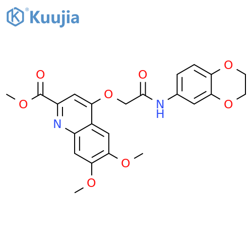 methyl 4-{[(2,3-dihydro-1,4-benzodioxin-6-yl)carbamoyl]methoxy}-6,7-dimethoxyquinoline-2-carboxylate structure