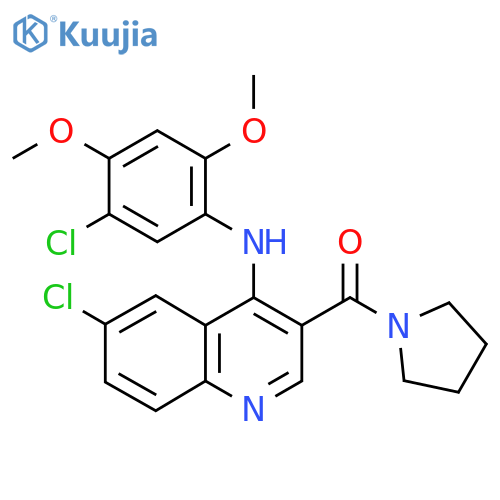 6-chloro-N-(5-chloro-2,4-dimethoxyphenyl)-3-(pyrrolidine-1-carbonyl)quinolin-4-amine structure