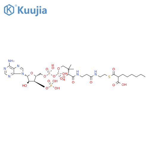 Coenzyme A, S-(hydrogen 2-hexylpropanedioate) structure