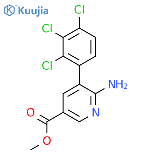 Methyl 6-amino-5-(2,3,4-trichlorophenyl)nicotinate structure