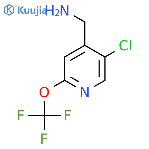 4-(Aminomethyl)-5-chloro-2-(trifluoromethoxy)pyridine structure