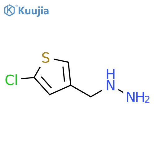 (5-chlorothiophen-3-yl)methylhydrazine structure