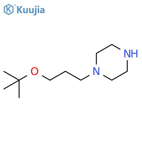 1-[3-(tert-butoxy)propyl]piperazine structure