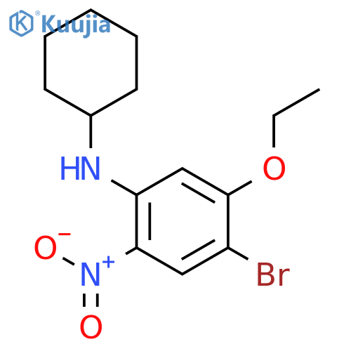 4-Bromo-N-cyclohexyl-5-ethoxy-2-nitroaniline structure