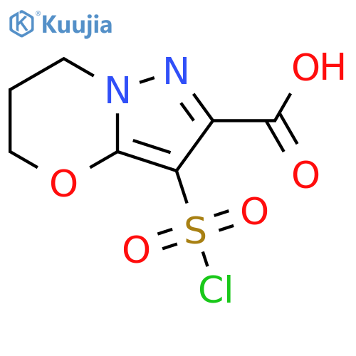 3-(chlorosulfonyl)-5H,6H,7H-pyrazolo3,2-b1,3oxazine-2-carboxylic acid structure