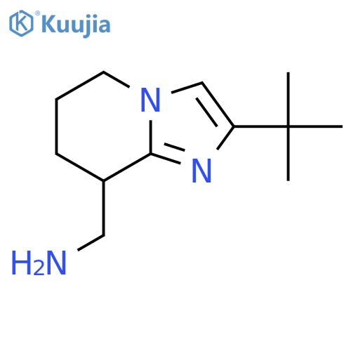{2-Tert-butyl-5H,6H,7H,8H-imidazo[1,2-a]pyridin-8-yl}methanamine structure