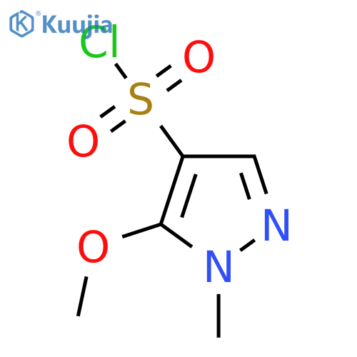 5-Methoxy-1-Methyl-1H-pyrazole-4-sulfonyl Chloride structure