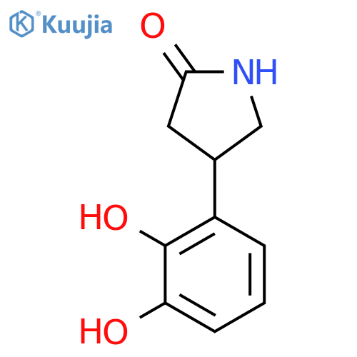 4-(2,3-dihydroxyphenyl)pyrrolidin-2-one structure