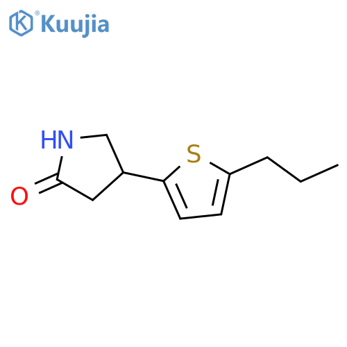 4-(5-propylthiophen-2-yl)pyrrolidin-2-one structure