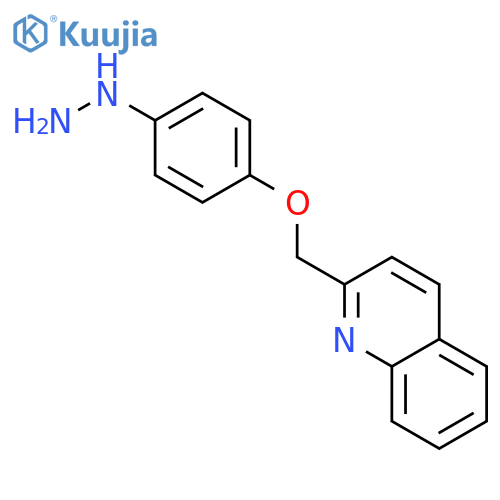Quinoline, 2-[(4-hydrazinophenoxy)methyl]- structure