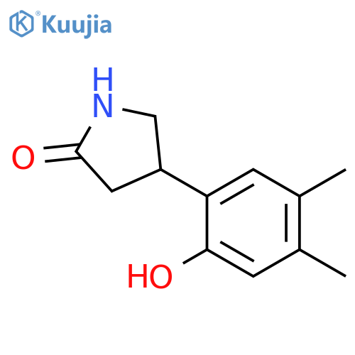 4-(2-hydroxy-4,5-dimethylphenyl)pyrrolidin-2-one structure
