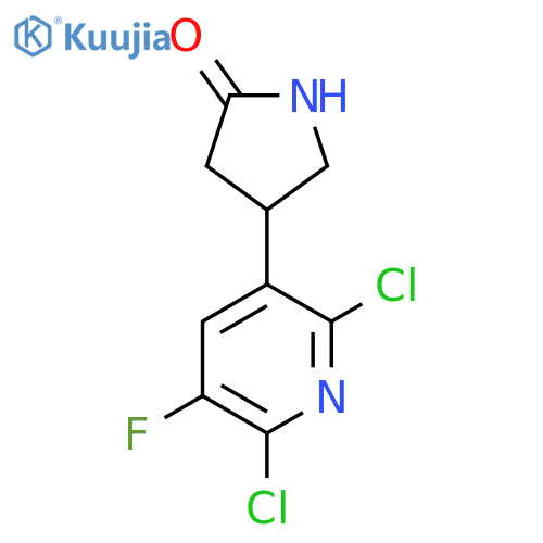 4-(2,6-dichloro-5-fluoropyridin-3-yl)pyrrolidin-2-one structure