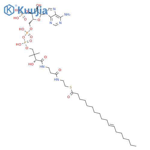 Coenzyme A, S-(11Z)-11-octadecenoate structure