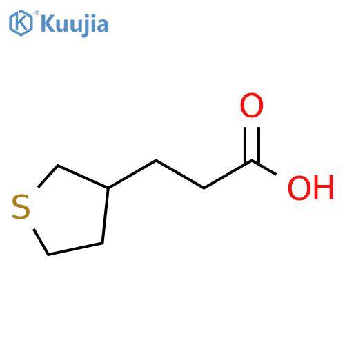 3-(thiolan-3-yl)propanoic acid structure