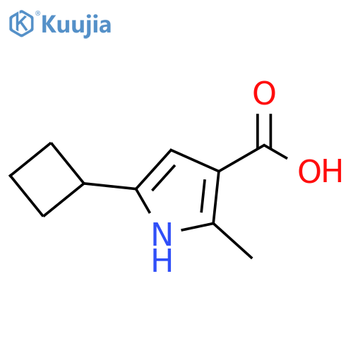 5-cyclobutyl-2-methyl-1H-pyrrole-3-carboxylic acid structure