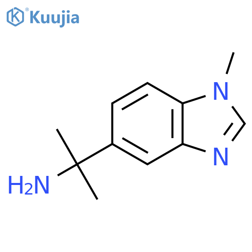 2-(1-methyl-1H-1,3-benzodiazol-5-yl)propan-2-amine structure