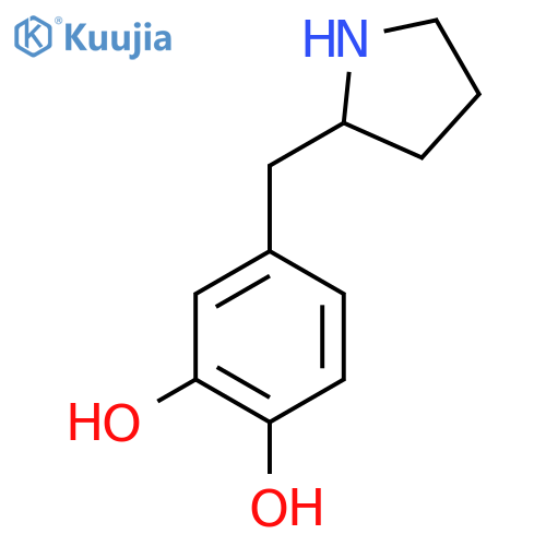 4-(pyrrolidin-2-yl)methylbenzene-1,2-diol structure