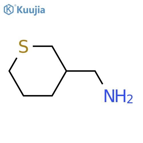 1-(thian-3-yl)methanamine structure