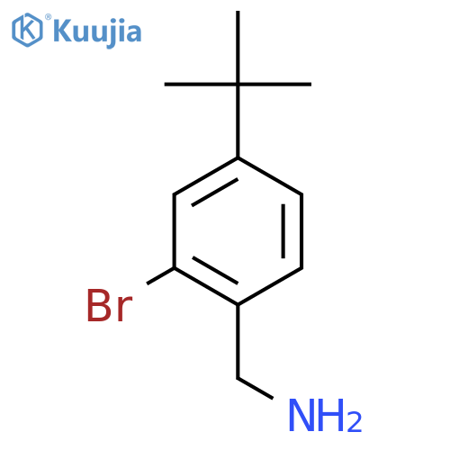 (2-Bromo-4-tert-butylphenyl)methylamine structure