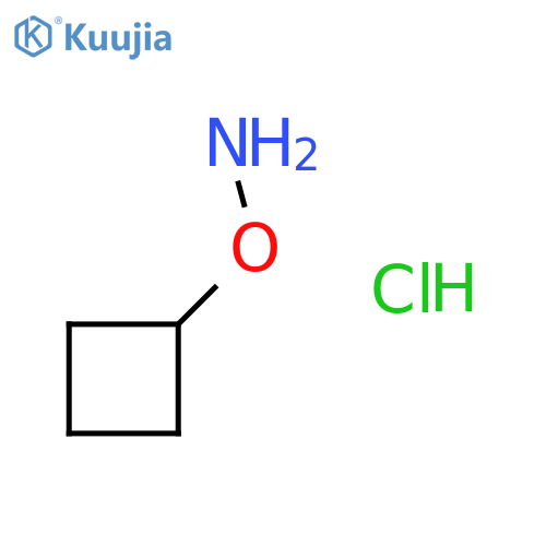 O-cyclobutylhydroxylamine hydrochloride structure