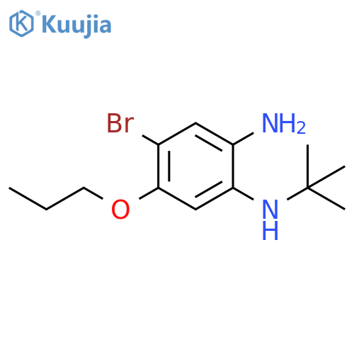 4-Bromo-1-N-tert-butyl-5-propoxybenzene-1,2-diamine structure