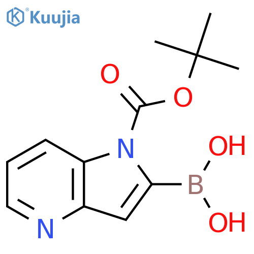 {1-[(tert-Butoxy)carbonyl]pyrrolo[3,2-b]pyridin-2-yl}boronic acid structure