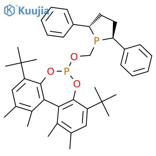 (11aS)-4,8-Bis(1,1-Dimethylethyl)-6-(2S,5S)-2,5-diphenyl-1-phospholanylmethoxy-1,2,10,11-tetramethyldibenzod,f1,3,2dioxaphosphepin structure