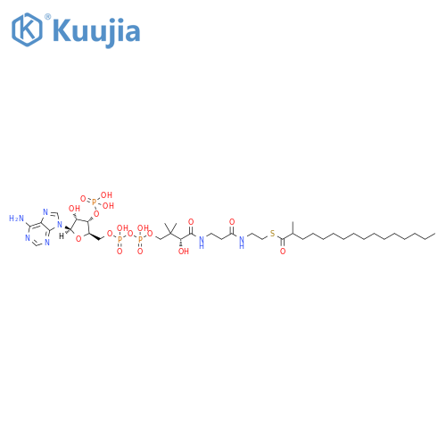 Coenzyme A, S-(2-methylhexadecanoate) structure