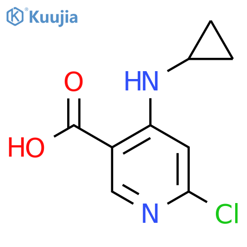 6-Chloro-4-(cyclopropylamino)nicotinic acid structure