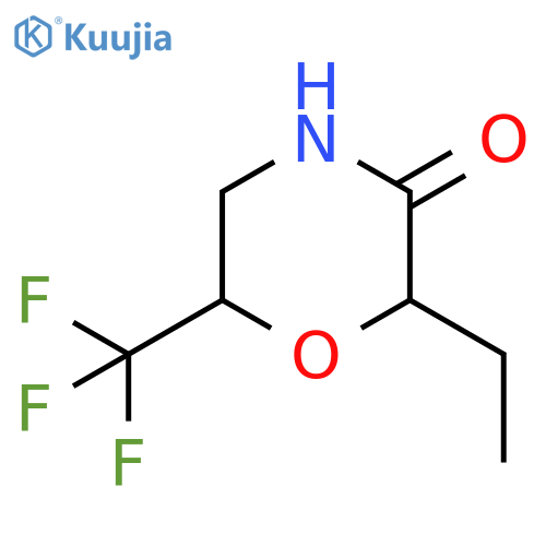 2-ethyl-6-(trifluoromethyl)morpholin-3-one structure