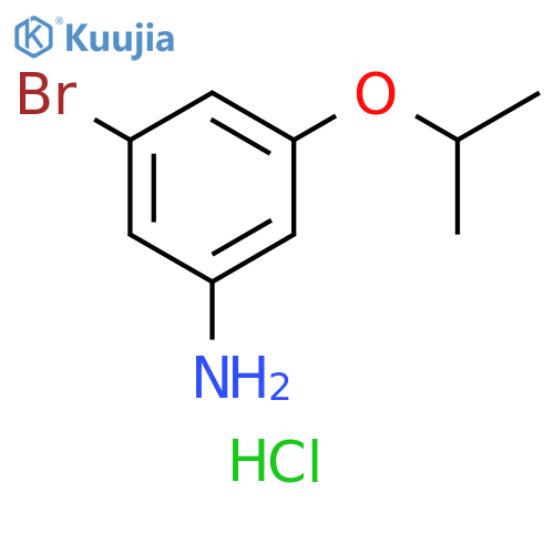 3-bromo-5-(propan-2-yloxy)aniline hydrochloride structure