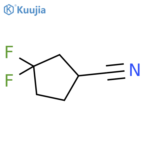 3,3-difluorocyclopentanecarbonitrile structure