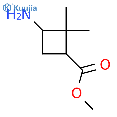 methyl 3-amino-2,2-dimethyl-cyclobutanecarboxylate structure