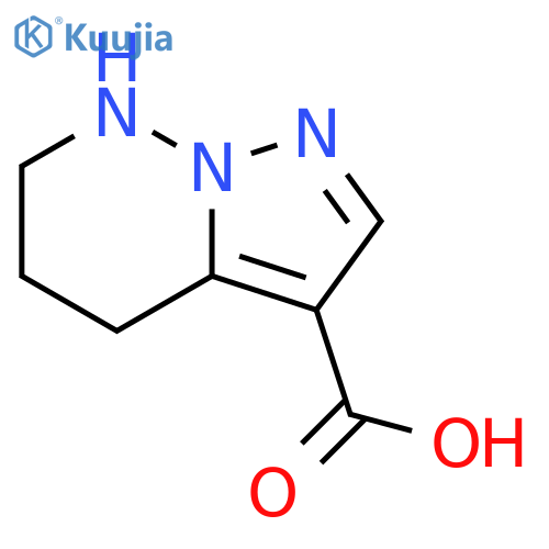 4,5,6,7-Tetrahydropyrazolo[1,5-b]pyridazine-3-carboxylic acid structure