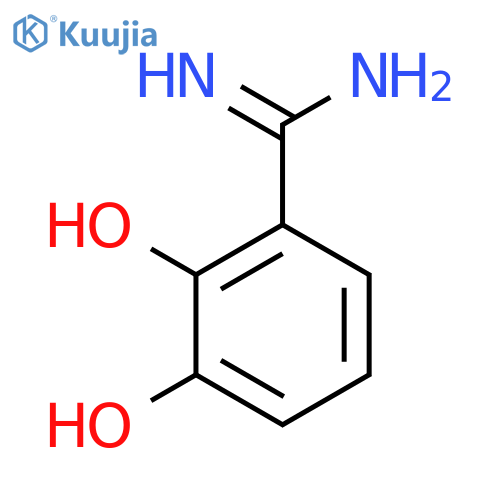 2,3-dihydroxybenzene-1-carboximidamide structure