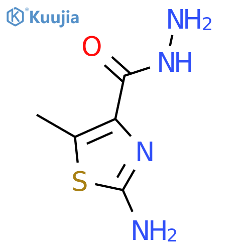 2-Amino-5-methylthiazole-4-carbohydrazide structure
