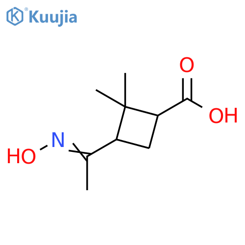 3-1-(hydroxyimino)ethyl-2,2-dimethylcyclobutane-1-carboxylic acid structure
